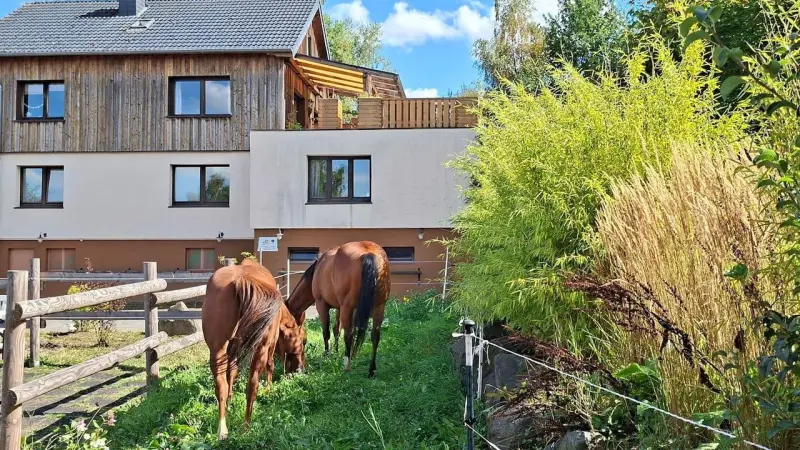 Ferienwohnung Katzwinkel (Sieg)