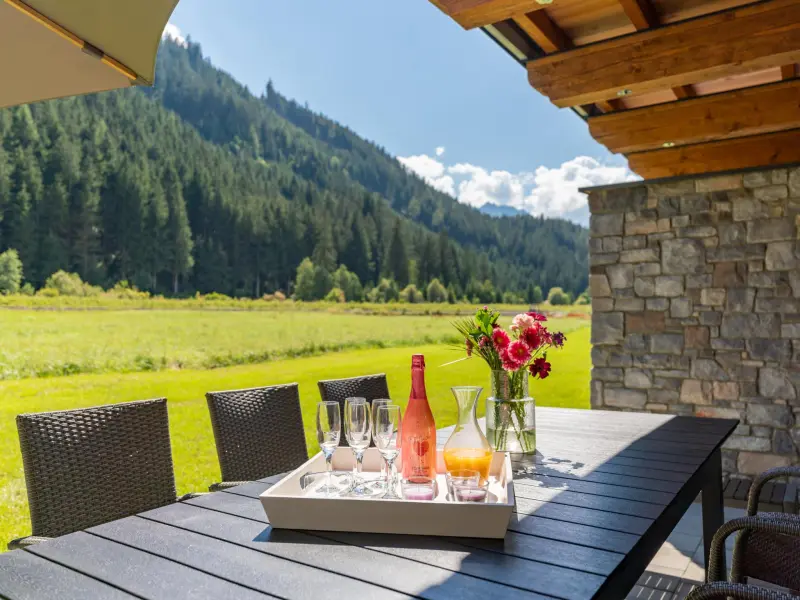 Chalet  Krimml