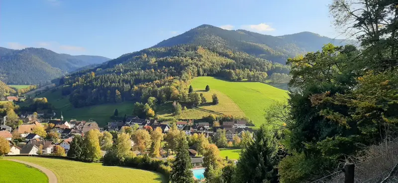 Ferienwohnung Elzach