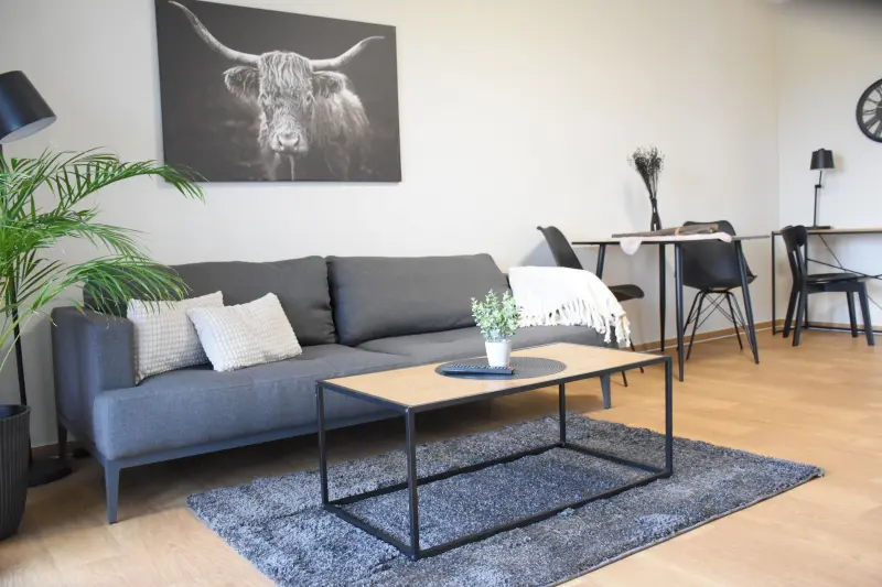 Ferienwohnung  Tankumsee