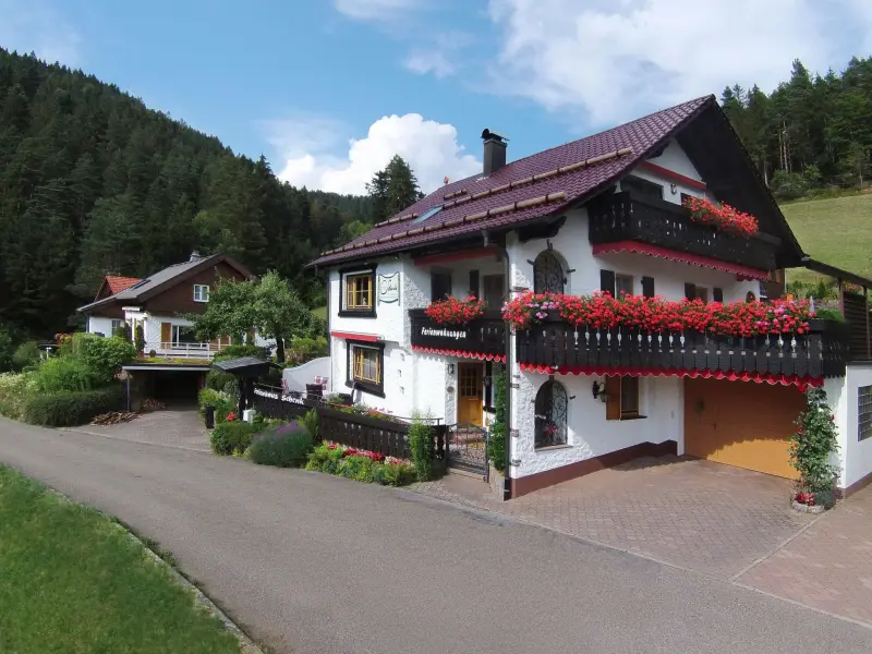 Ferienwohnung  Baiersbronn