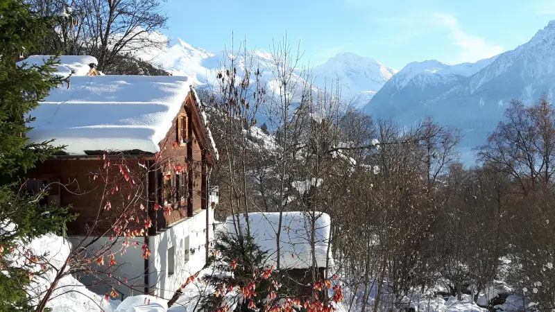 Ferienhaus Riederalp