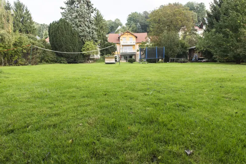 Ferienwohnung  Kleinzschachwitz