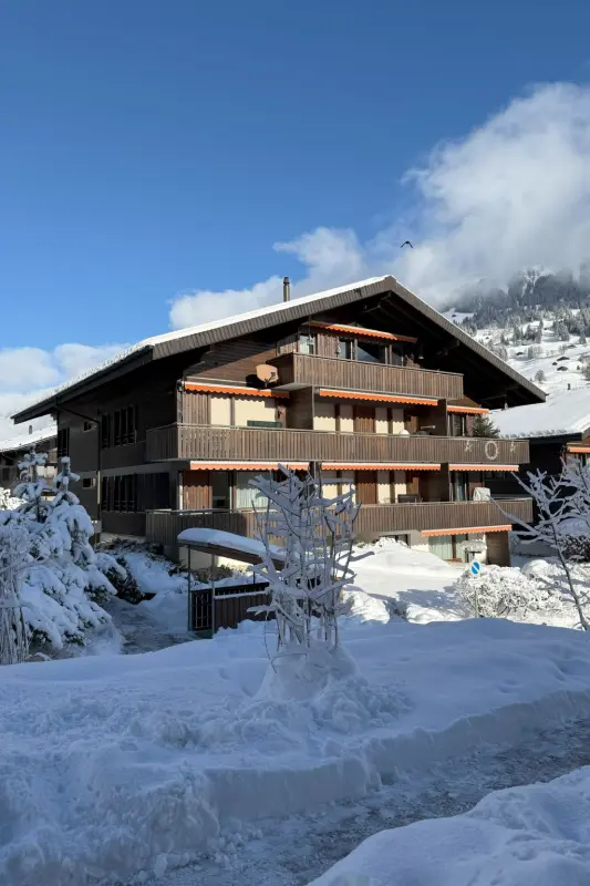 Ferienwohnung Lenk