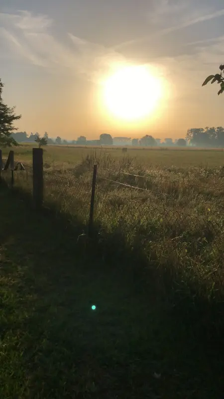 Ferienwohnung Sommerfeld