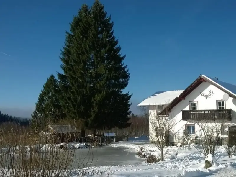 Ferienwohnung  Bischofsreut