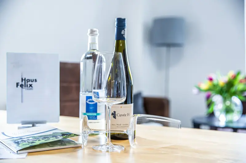 Ferienwohnung Radebeul