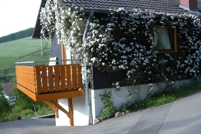 Privatzimmer  Friesenheim