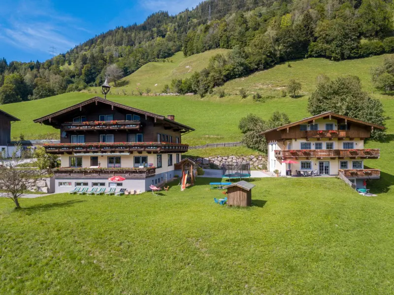 Ferienwohnung mit Hund in Goldegg f&uuml;r max. 4 Personen