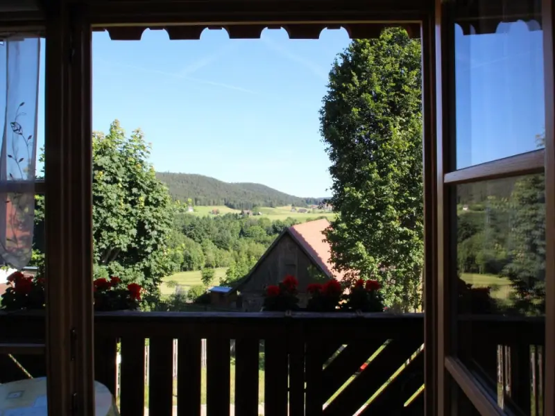 Ferienwohnung Schiltach