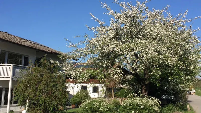 Ferienwohnung  Vogtareuth