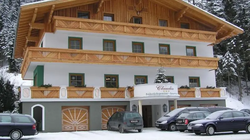 Ferienwohnung Flachauwinkl