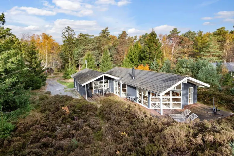 Ferienhaus mit Hund in Dueodde fuer max. 6 Personen