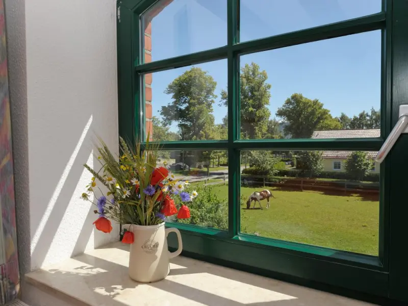 Ferienwohnung Dabitz