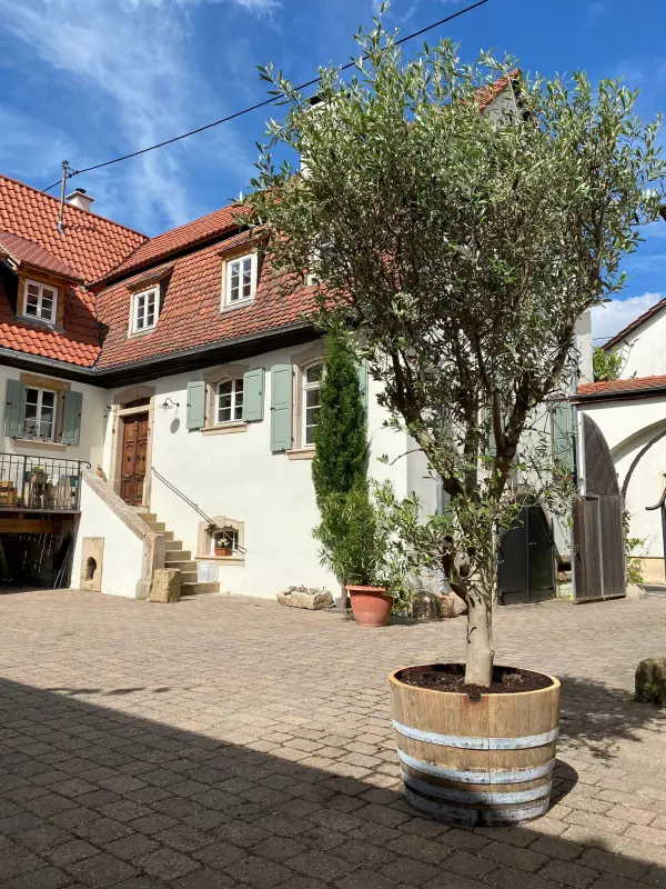Ferienwohnung Bad Dürkheim