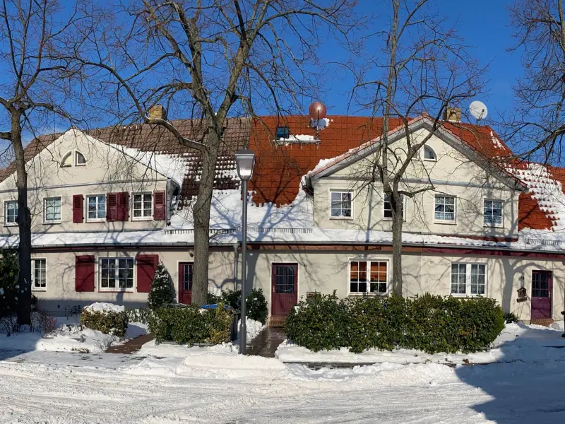 Dom Gräfenhainichen