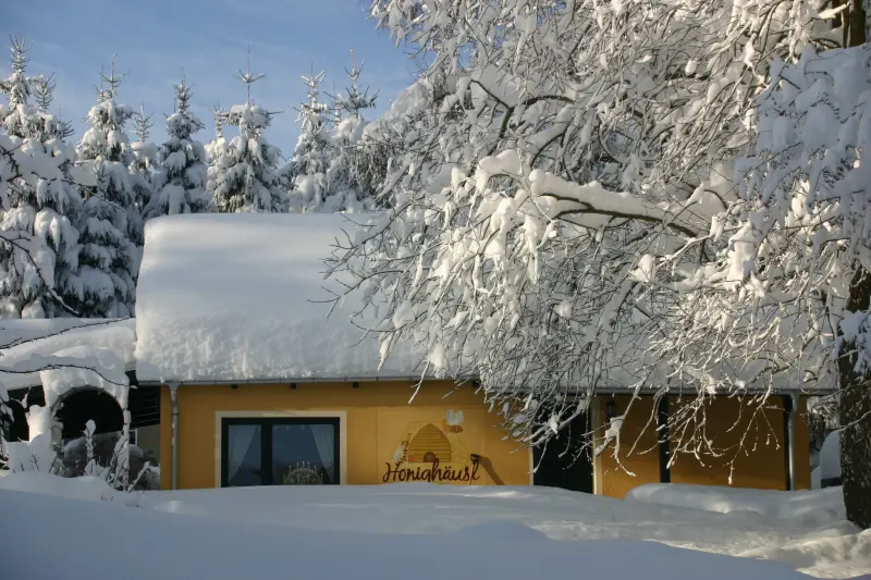 Ferienhaus Gottesgab