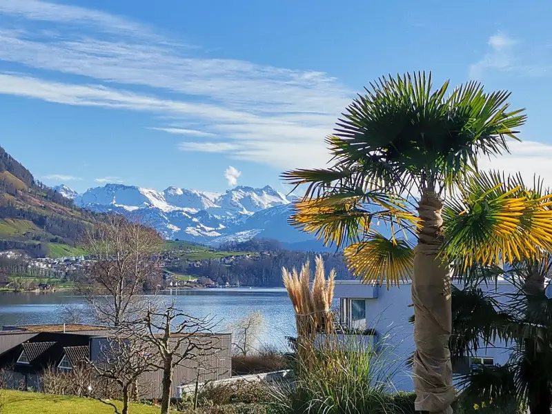 Ferienwohnung Rigi Kaltbad