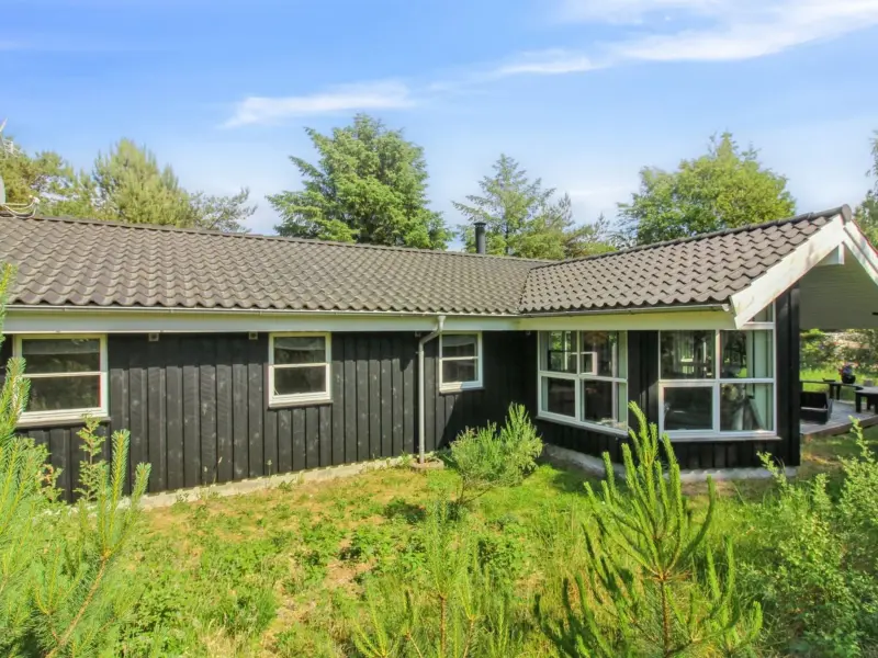 Ferienhaus Fjerritslev