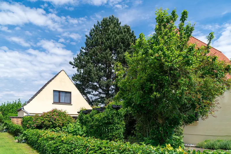 Ferienhaus Bergen auf Rügen