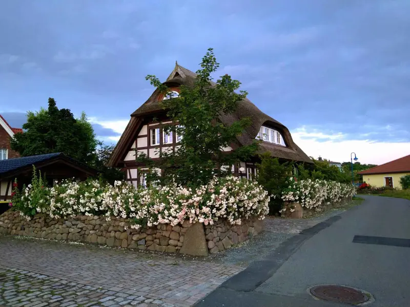 Ferienhaus mit Hund in Dranske, Rügen fuer max. 8 Personen