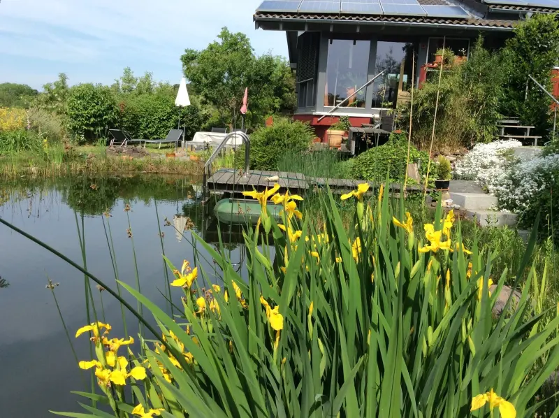 Ferienhaus Goldscheid