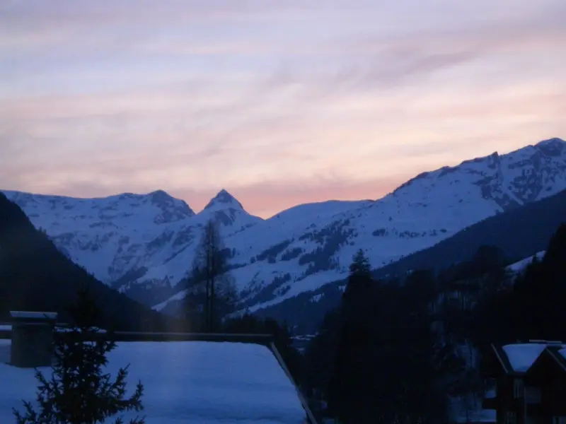 Ferienwohnung Hinterglemm