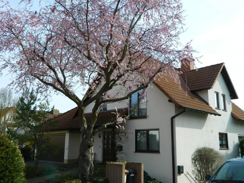 Ferienwohnung Nieder-Olm