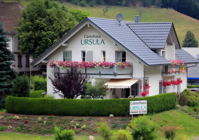 Ferienwohnung  Hornberg
