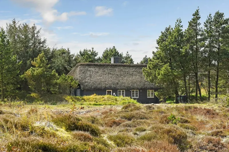 Ferienhaus mit Hund in Blåvand Strand fuer max. 6 Personen