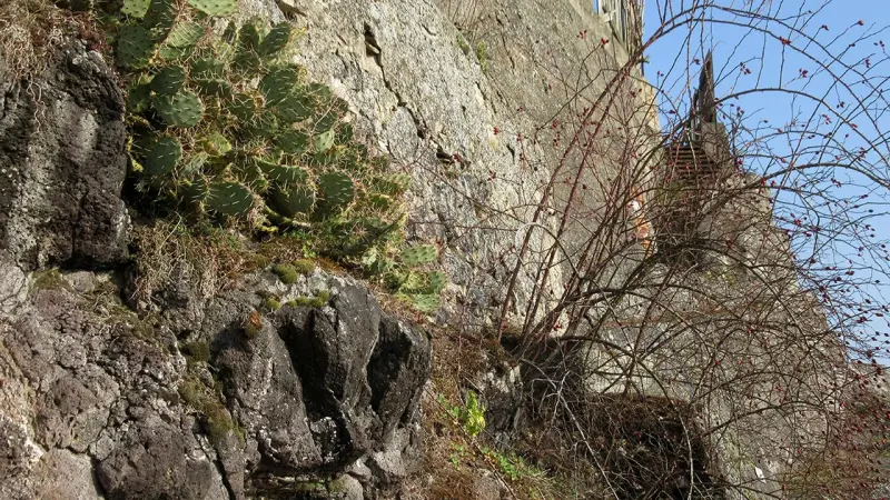 Ferienhaus Sasbach am Kaiserstuhl