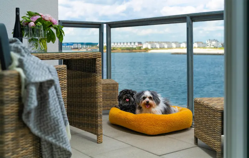 Ferienwohnung mit Hund inOlpenitz, Deutschland  f&uuml;r max. 4 Personen