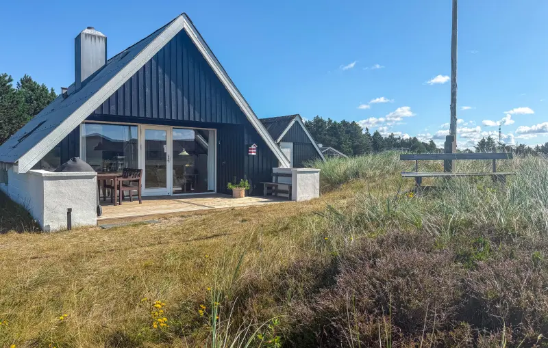 Ferienhaus  Vorupør
