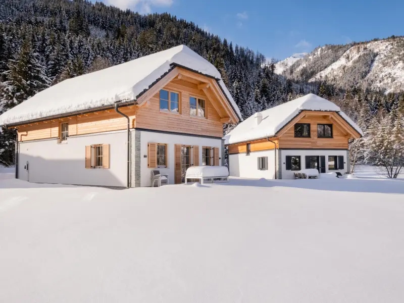 Chalet Donnersbachwald