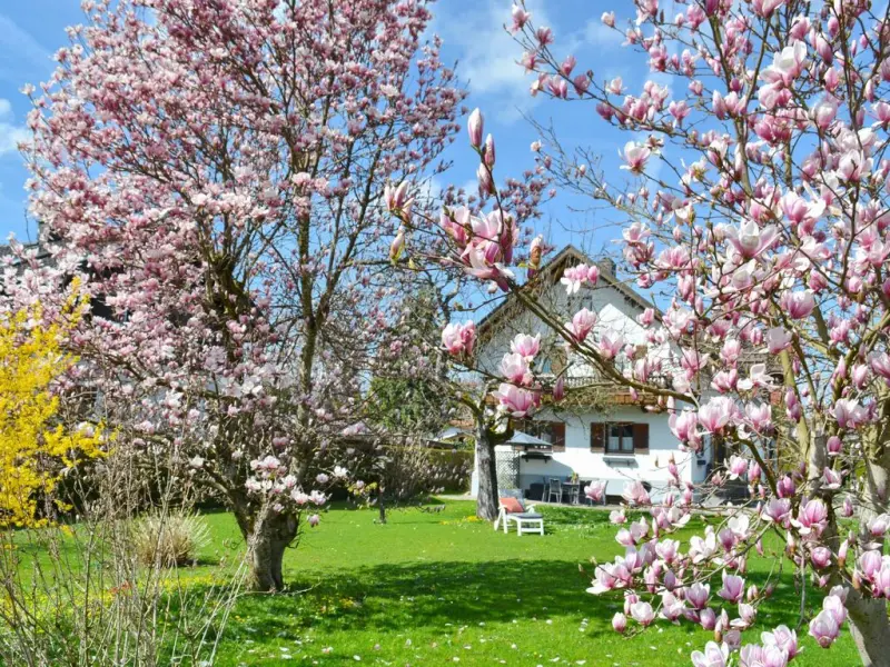 Ferienhaus  Bernau am Chiemsee