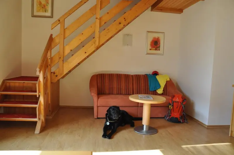 Ferienwohnung mit Hund in Flachau, Salzburger Sportwelt fuer max. 4 Personen