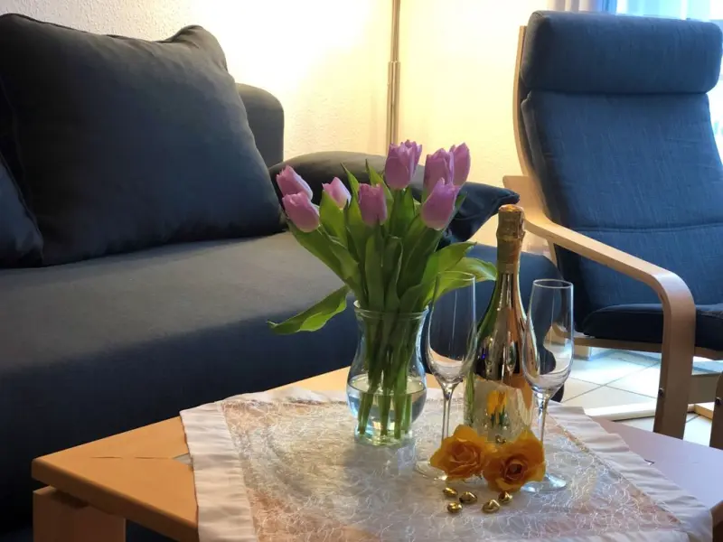 Ferienwohnung  Haldensleben