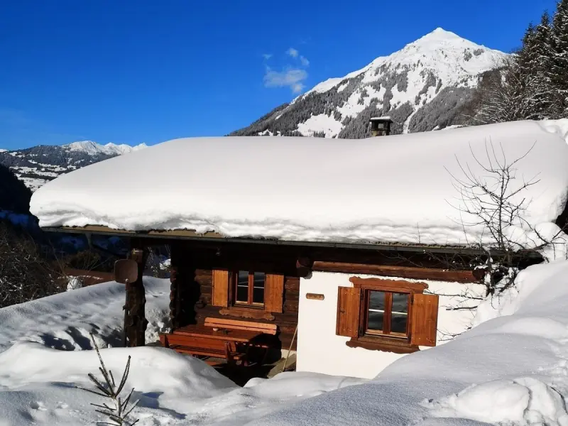 Ferienhaus mit Hund in Sankt Gallenkirch f&uuml;r max. 5 Personen