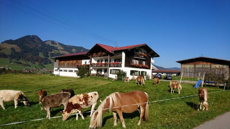 Ferienwohnung  Obermaiselstein
