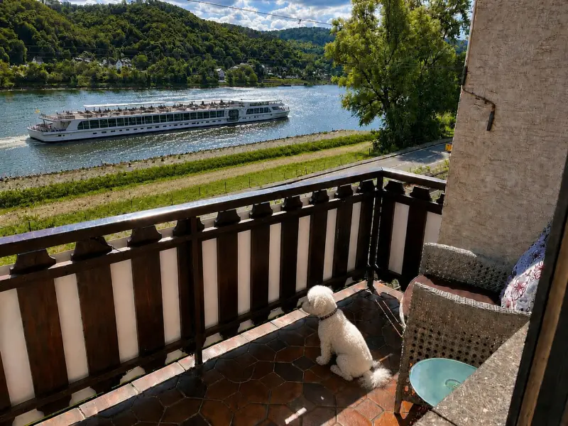 Ferienwohnung Sankt Goarshausen