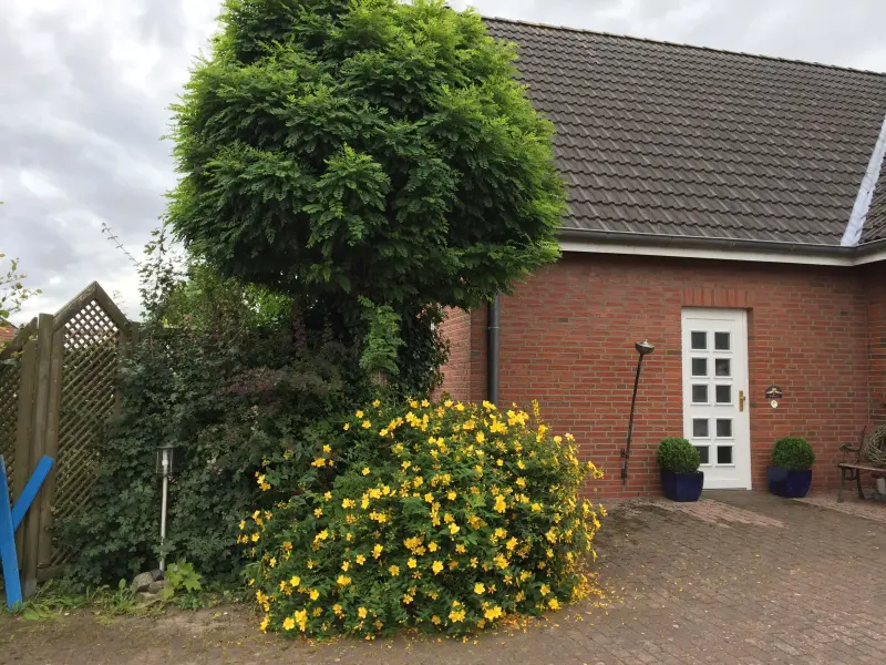 Ferienhaus Ahrensbök