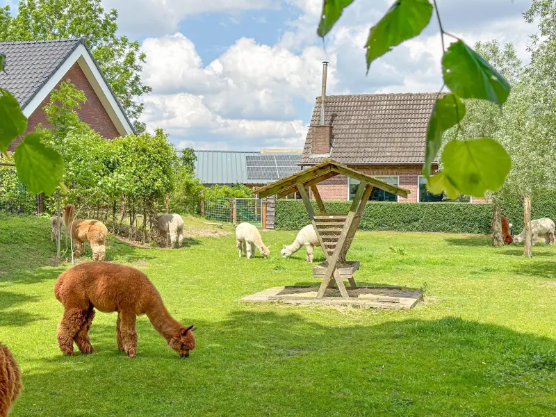 Ferienhaus mit Garten und Terrasse