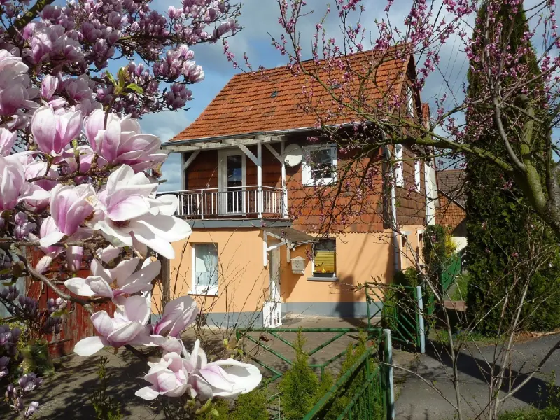 Ferienhaus  Wahlhausen