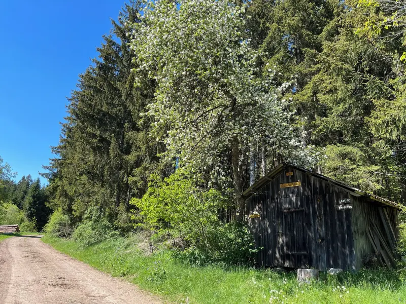 Ferienwohnung Löffingen