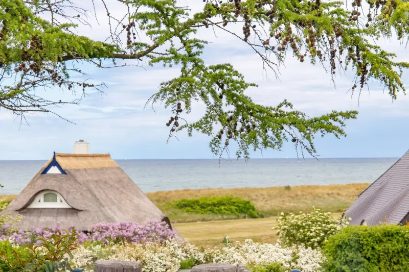 Ferienhaus mit Hund inAhrenshoop, Ostsee  f&uuml;r max. 2 Personen
