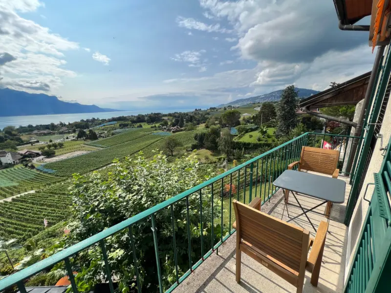 Ferienwohnung mit Hund in Montreux, Waadt fuer max. 3 Personen
