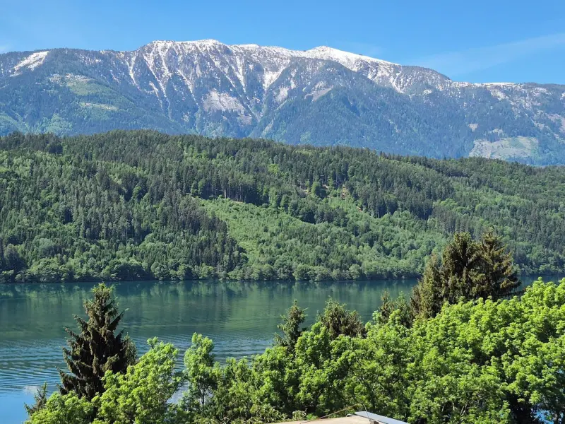 Ferienwohnung Millstätter See