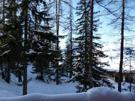 foto9