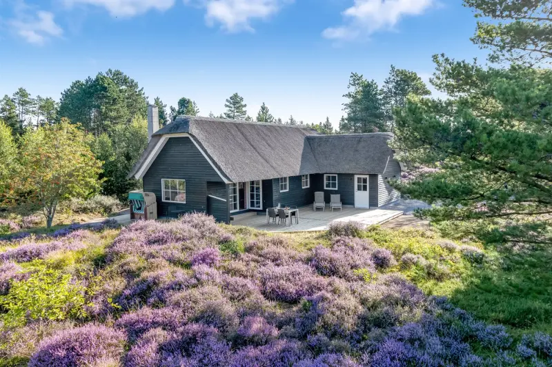 Ferienhaus in Kongsmark f&uuml;r max. 4 Personen