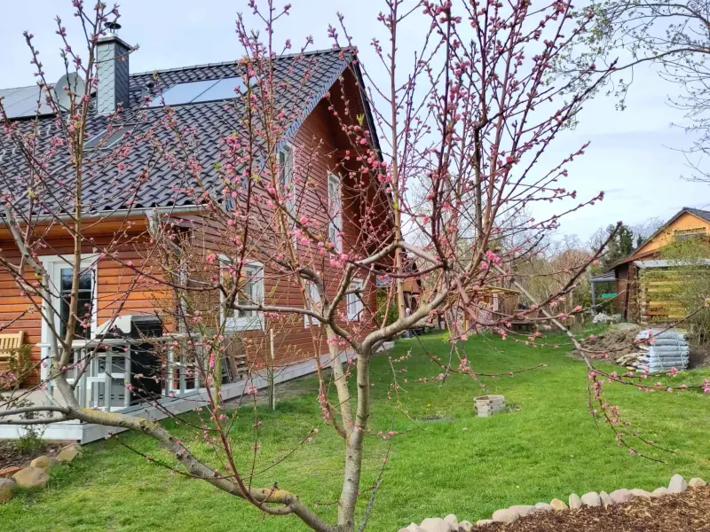 Ferienwohnung Buckow (Märkische Schweiz)